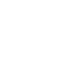 ecommerce icon