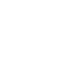 apple icon