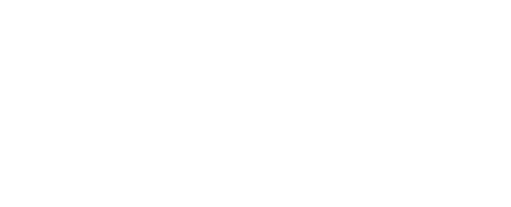 divi vector