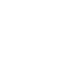 Python development services provider company