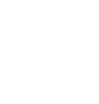 flutter vector