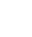 shopify icon