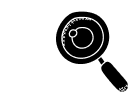 discover icon