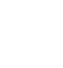 cyber security icon